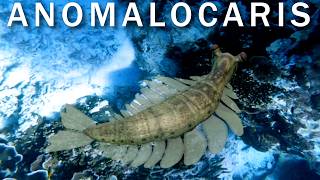 Anomalocaris was just a Worm Eater [upl. by Gereld567]