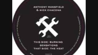 Nick Chacona amp Anthony Mansfield  Burning Sensations [upl. by Aneelehs]