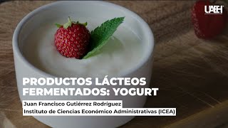 Productos lácteos fermentados Yogurt [upl. by Zasuwa]