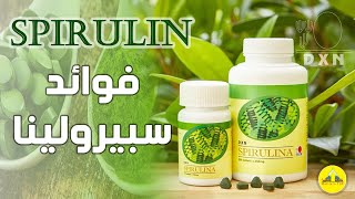 سبيرولينا DXN  فوائد سبيرولينا دكسن spirulina DXN [upl. by Eyahsal466]