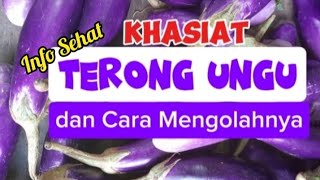 Khasiat Terong Ungu dan Cara Mengolahnya [upl. by Adam]