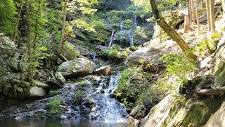 Catawba Falls River Trail [upl. by Clie]