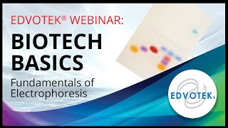 Principles and Practice of Agarose Gel Electrophoresis [upl. by Branen]