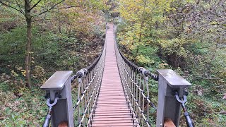 WeltWald Harz bei Bad Grund HD [upl. by Huntley]