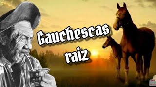 As melhores do sul  gauchesco raiz vol2 [upl. by Demp]