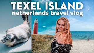 Exploring Texel island in The Netherlands 🐑 [upl. by Ydniahs]