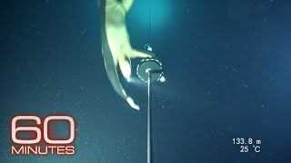 Alexey Molchanov’s world record dive [upl. by Dudden]