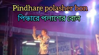 PINDARE POLASHER BON  পিন্দারে পলাশের বোন । [upl. by Krug402]