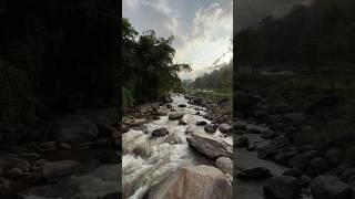 darjeelinghills darjeeling bijanbari darjeelingtour waterfalls river shortsvideo viralshort [upl. by Ariajaj]