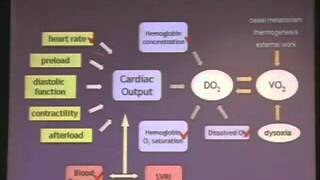 How I measure Cardiac Output and Regional Blood Flow [upl. by Aninad]