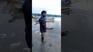 Unbelievable Big Fish Catch with 12 EMPTY Hooks fishing fishingvideos thoondilulagam seafishing [upl. by Eybbob]