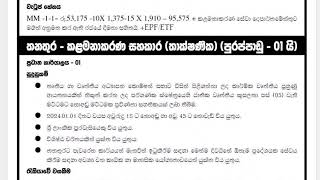 New government gazette 2024 job vacancies  කළමනාකරණ සහකාර ඇතුළු පුරප්පාඩු [upl. by Kerwon]