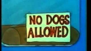 No Dogs Allowed [upl. by Bartholemy558]