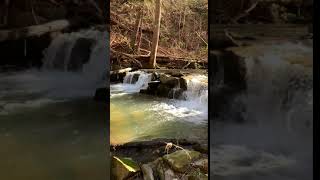 CountryTractscom Flowing Creek in Georgia [upl. by Aneahs]