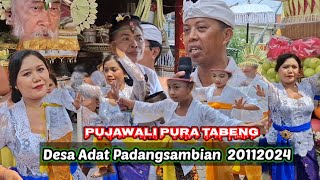 Pujawali Pura Tabeng Desa Adat Padangsambian Tgl 20  11  2024 [upl. by Mirella]