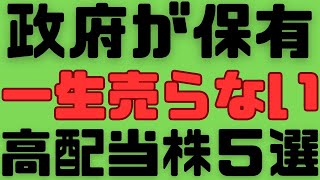 【最強銘柄】財務大臣や経済産業大臣が3割以上株を保有する日本株銘柄！これをとりあえず買っとけば間違いなし！ [upl. by Eniledam]