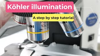 Köhler illumination  A step by step tutorial [upl. by Neruat]