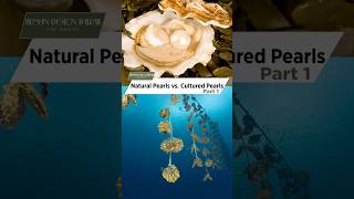 Natural vs Cultured Pearls What’s the Difference [upl. by Annawoj]