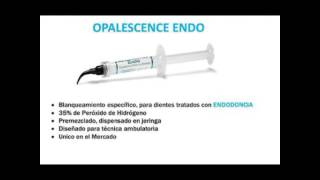 Opalescence Endo [upl. by Alcine858]