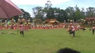 Kaamulan Festival 2009 Malaybalay Bukidnon [upl. by Sankey437]