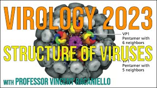 Virology Lectures 2023 4 Structure of viruses [upl. by Arytahs894]