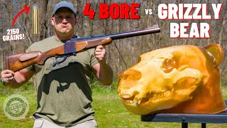 4 BORE Rifle vs Grizzly Bear 🐻 The Biggest Rifle Ever [upl. by Chura]