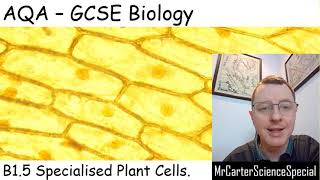 B15  Specialised Plant Cells  AQA Biology GCSE 91 [upl. by Duggan]