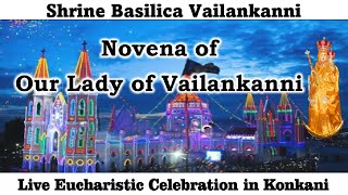 Day 4 of Vailankanni Novena  Konkani Mass Live at 1015 am 2nd Sept 2024  Vailankanni Shrine [upl. by Yhtomit]