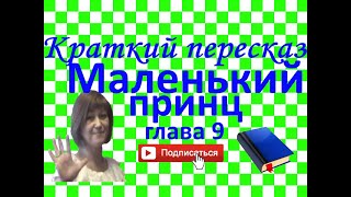 Краткий пересказ А де СентЭкзюпери quotМаленький принцquot глава 9 [upl. by Rori456]