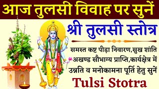 Tulsi Vivahतुलसी विवाहTulsi Stotraतुलसी स्तोत्रअखंड सौभाग्य प्राप्तिमनोकामना पूर्ति हेतु सुनें [upl. by Gnak278]