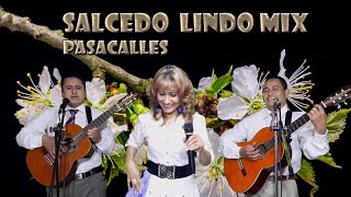 LINDO SALCEDO PASACALLES MIXGRUPO MUSICAL LOS MEDINA [upl. by Varipapa]