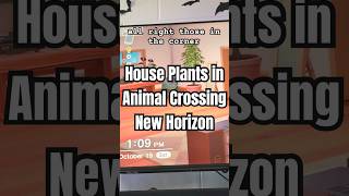 Animal Crossing New Horizons needs more house plants options ACNH [upl. by Eidac]