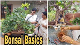 Bonsai BasicsBonsai plantsampTipsబోన్సాయ్ మొక్కలు పెంచుదాంముందు బేసిక్స్ నేర్చుకుందాం BonsaiPlants [upl. by Elbert453]