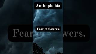 Anthophobia scarystories horrorstories horrortok [upl. by Dnalon]