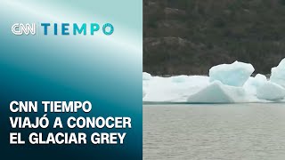 Conocimos el glaciar Grey ¿Cuánto ha retrocedido  CNN Tiempo [upl. by Ahsam]