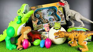 Jurassic World Unboxing Review Asmr Giant Green T Rex Indominus Rex Dinosaur Eggs Hatching [upl. by Nylrak]