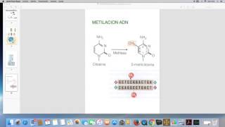 Metilacion del ADN EN REGULACION PRETRANSCRIPCIONAL [upl. by Toscano]