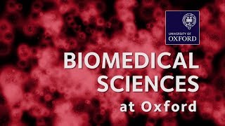 Biomedical Sciences at Oxford University [upl. by Oiratnom]