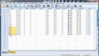 Partial Confirmatory Factor Analysis [upl. by Orips554]