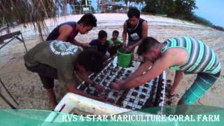 RVS 4star Mariculture Coral Farm Visited By Jake Adams Of REEFBUILDERS [upl. by Dore]