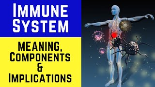 Immune System  Meaning Components amp Implications Immnunity Immunology amp Immune Response [upl. by Rosenfeld]