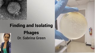 Finding and Isolating Phages [upl. by Hyams]