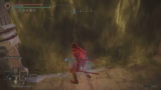 ELDEN RING Archive 6  AFK Farmer Fog Wall Abuser and a DC [upl. by Ragland890]