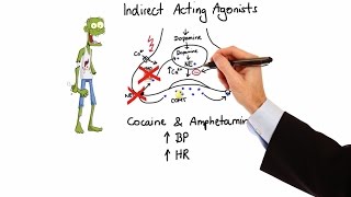 Pharmacology  ADRENERGIC RECEPTORS amp AGONISTS MADE EASY [upl. by Melony]