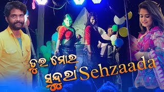 Sawaree  New Sambalpuri Melody  Umakant Barik [upl. by Ecirehs917]