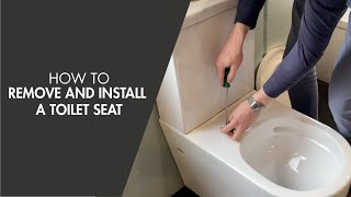 How to Remove and Install a Toilet Seat [upl. by Dora528]