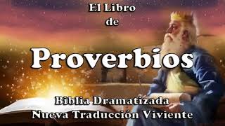 Libro de Proverbios  Narrado  AudioLibro [upl. by Mady971]