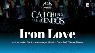 11 Iron Love Steelpan Cover  UWI Panoridim Steel Orchestra [upl. by Landrum]