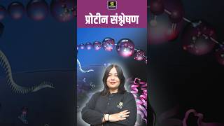 प्रोटीन संश्लेषण proteinsynthesis pashuparicharaksyllabus generalscience shorts nayanamam [upl. by Hester]