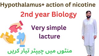 hypothalamus  Action of nicotine  12 class biology  2ndyearbiology [upl. by Eiliab]